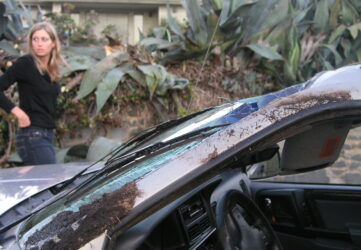 how to prove driver negligence in a self driving car accident